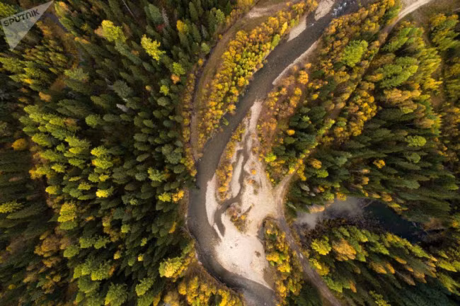 Dòng sông Koyard chảy qua rừng ở vùng Krasnoyarsk, Nga.