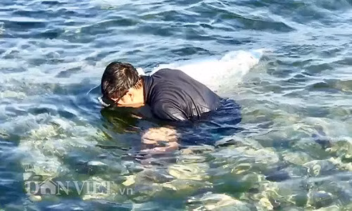 Theo đó, cứ vào buổi sáng mỗi ngày, hoặc chiều mỗi khi rảnh, người dân nơi đây lại í ới gọi nhau mang liềm biển gần bờ ở quanh đảo, tìm cắt các loại rau, rong mang về bán.