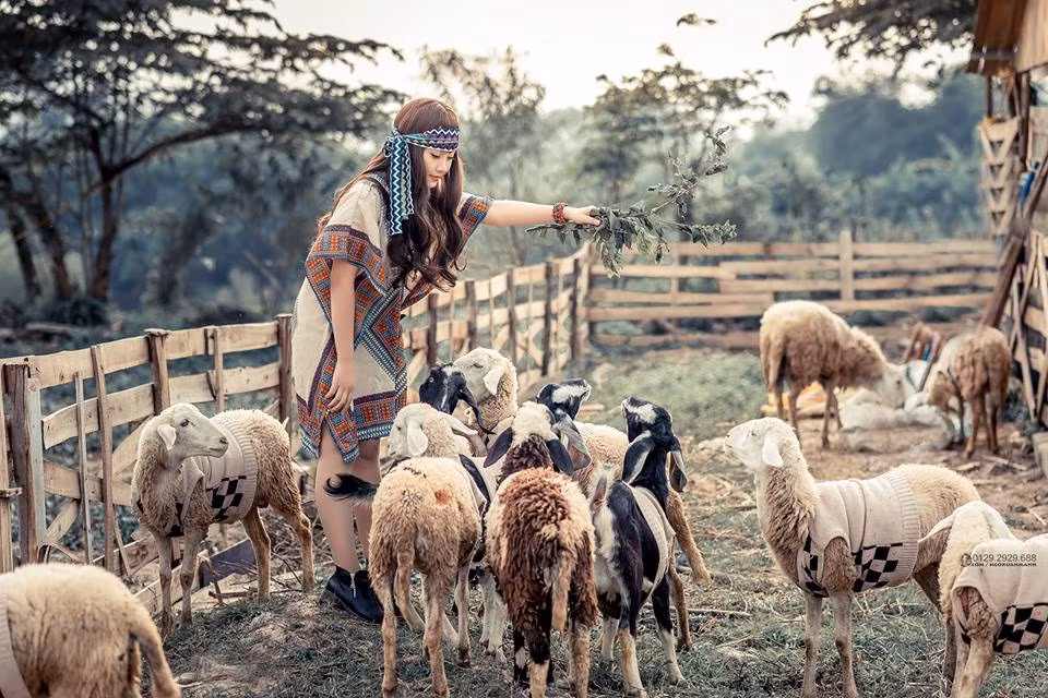 Nói về ước mơ trong tương lai Thu Hà nói: "Mình thích đi chụp ảnh và du lịch. Sau khi học xong mình muốn tự kiếm tiền mua một em máy ảnh để có thể tự chụp những cái mình thích đi những nơi mình muốn vì mình còn trẻ và xăng đang còn rẻ".