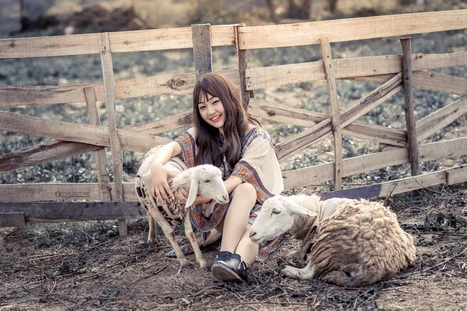 Sau khi đăng tải được ít giờ, bộ ảnh "cuộc sống thảo nguyên" được rất nhiều lượt thích và bên cạnh đó là những lời khen ngợi không ngớt từ các cư dân mạng.