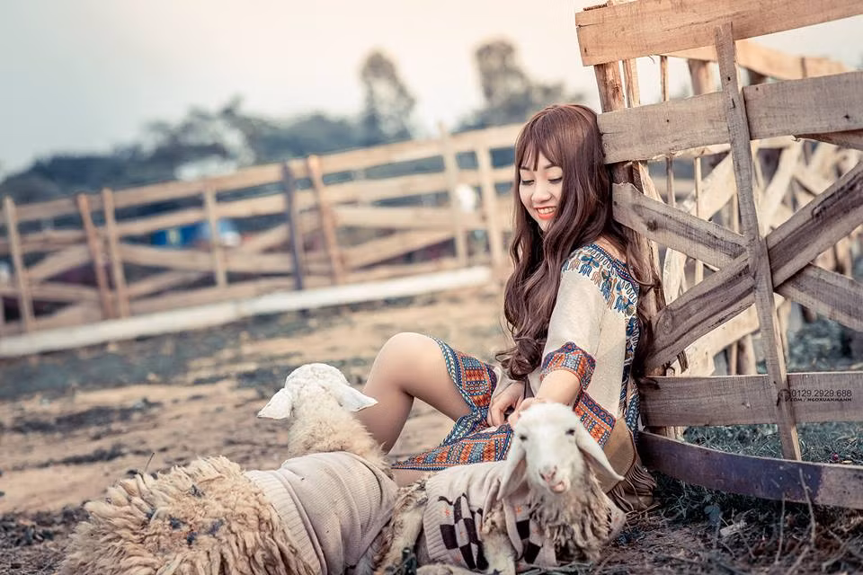 Trong bộ ảnh cuộc sống thảo nguyên của mình, Thu Hà đã hóa thân thành một cô gái du mục xinh đẹp và bạn diễn của cô là những chú dê trắng trong khung cảnh trang trại hết sức đơn sơ.