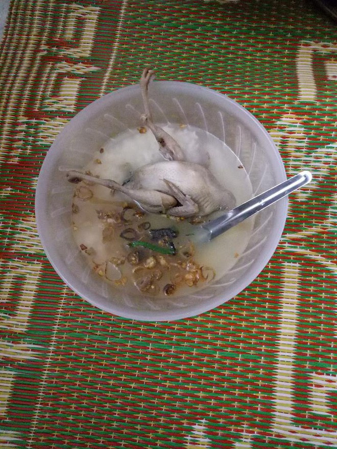 Đây chẳng phải lần đầu tiên cư dân mạng được chứng kiến những món ăn trứ danh cộp mác các anh chồng vào bếp và tạo ra những "thảm họa" như cháo chim trắng mồ côi, canh rau thập cẩm... làm "chán ngán" lòng người.