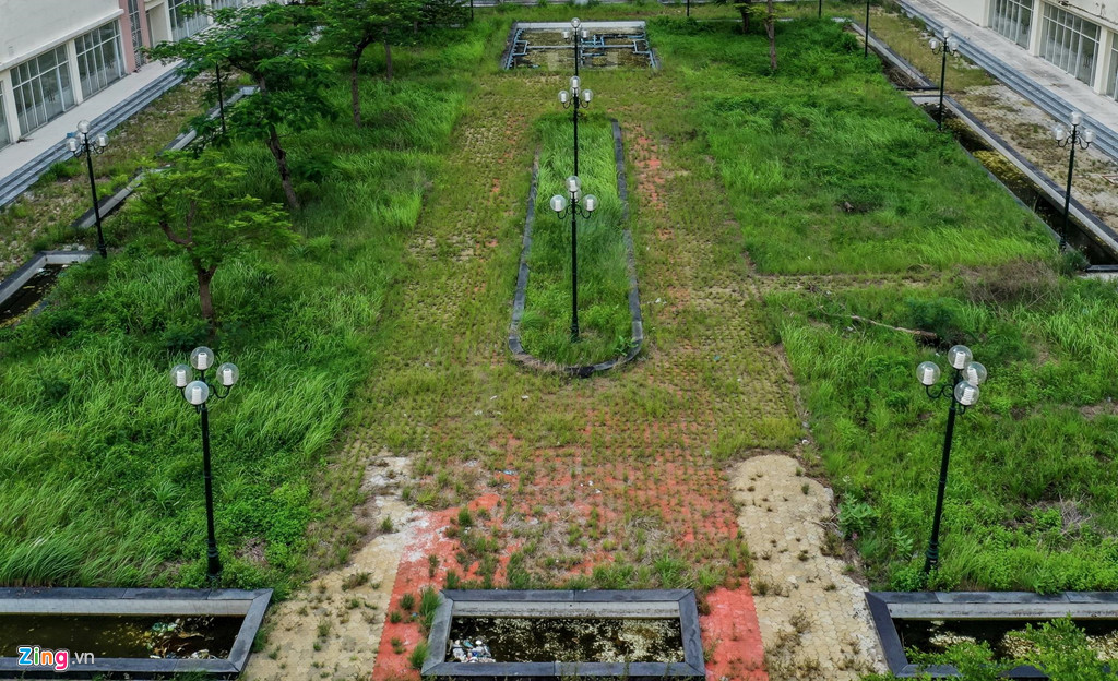 Khu vực công viên, đường dạo bộ cũng trong tình cảnh bị cỏ dại mọc.