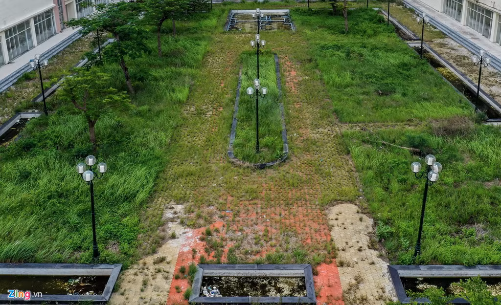 Khu vực công viên, đường dạo bộ cũng trong tình cảnh bị cỏ dại mọc.