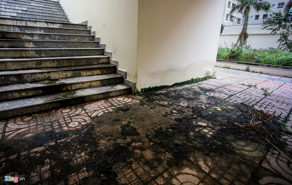 Sàn gạch bị xuống cấp, bong tróc, rêu mốc xuất hiện ở hầu hết diện tích mặt sàn.