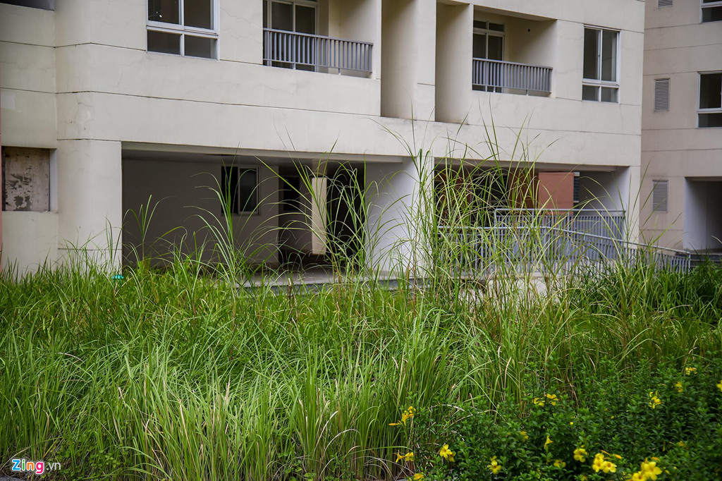 Không người ở, cũng không được duy tu bảo dưỡng thường xuyên, cỏ dại mọc cao quá đầu người trước sảnh chính một số tòa nhà.