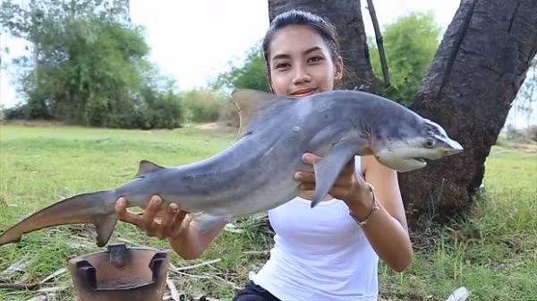 Ngay sau đó, Bộ Môi Trường Campuchia đã ra lệnh theo dõi và yêu cầu Ah Lin Tuch lên tiếng xin lỗi vì đã gây ảnh hưởng nghiêm trọng tới quần thể động vật hoang dã tại khu vực và quốc gia.