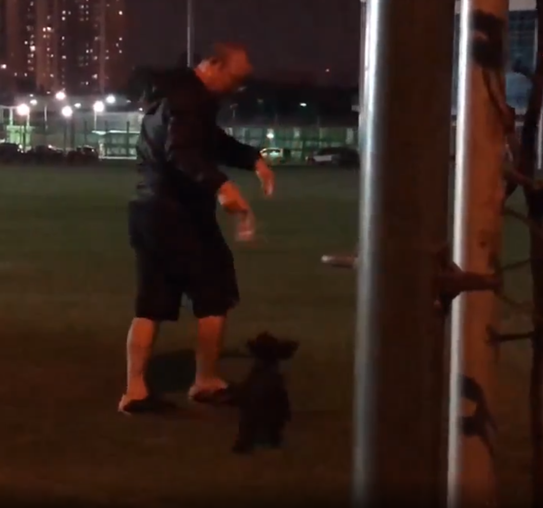 Trong một lần đưa Ani tới sân tập, HLV Park Hang Seo rất muốn được chơi cùng Ani, nhưng Ani lại chẳng thèm để mắt, hại thầy Park phải đuổi theo và cuối cùng cũng bỏ cuộc vì đơn giản, Ani vẫn không thích chơi cùng ông.