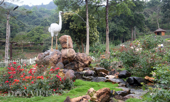 Ngoài những gốc hoa hồng, tại đây còn trang trí nhiều tiểu cảnh gắn liền với lịch sử núi Tản Viên.