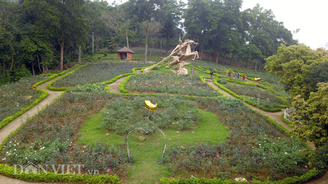 Vườn hoa hồng vừa được tổ chức Guiness Việt Nam công nhận là vườn hồng lớn nhất Việt Nam.