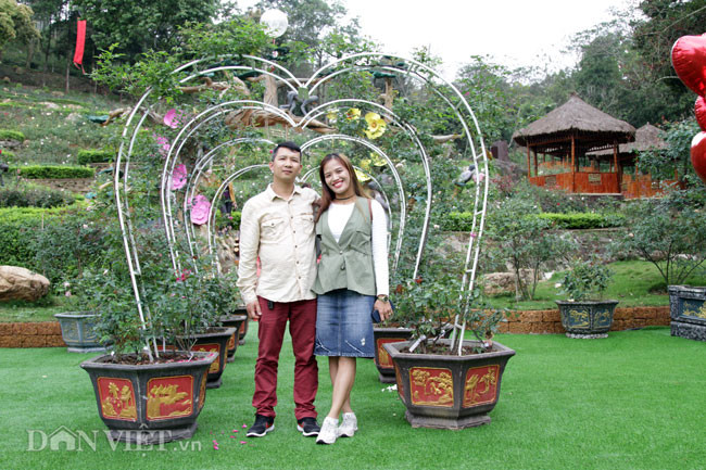 Chị Thu Lương (Hà Nội) chia sẻ: "Cũng khá lâu rồi mình mới được đến một vườn hồng mang đậm chất núi rừng như thế này, ở đây không khí trong lành, những bông hồng tỏa hương nhẹ nhàng làm cho mình như lạc vào thế giới cổ tích".