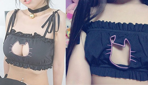 Muốn được khoe con mèo như người mẫu nhưng do vòng 1 lép nên điều đó không thành hiện thực.