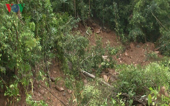 Nhiều triền núi ven đường vào thủy điện Đắk Sin 1 sạt lở nghiêm trọng./.