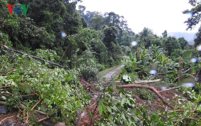 Theo đại diện Thủy điện Đắk Sin 1, khoảng 4-5 km đường bị sạt lở gây cô lập đường vào nhà máy.