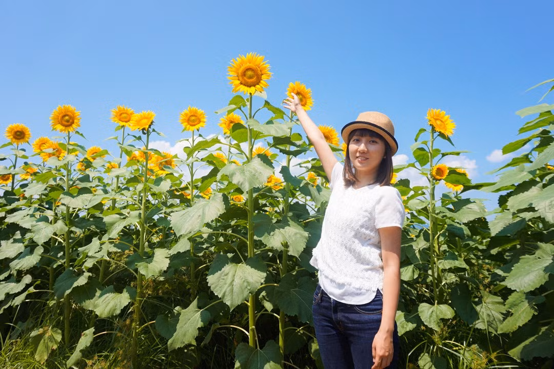 Vẻ đẹp của cánh đồng hoa đã nhanh chóng được lan truyền trên mạng xã hội, trở thành điểm du lịch hấp dẫn. Ảnh: Hoang Tuan Nghia