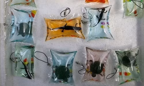 Tại Trung Quốc đã bày bán tràn lan những móc chìa khóa dạng túi bong bóng nhựa bên trong có chứa cá vàng, rùa tai đỏ thậm chí cả ếch hay kì nhông. Ngay sau đó, nó đã tạo thành trào lưu cực hot cho giới trẻ tại đất nước đông dân số nhất thế giới này.