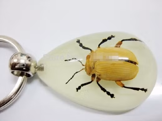 Trước đây, tại Nam Mỹ đã từng thả bọ cánh cứng sống vào trâm cài đầu bọc đá quý, hay một hãng đồng hồ đã thả kiến sống vào một dòng sản phẩm của mình. Những sản phẩm này đã bị người tiêu dùng lên án gay gắt và phản đối ngay sau đó.