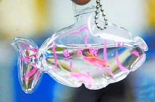 Nếu những con vật bé nhỏ này gặp được những chủ nhân tốt bụng thì sẽ được giải thoát khỏi chiếc túi “oan nghiệt” kia. Còn nếu không may mắn, sau khi nước và oxy trong chiếc túi cạn kiệt thì con vật sẽ phải chết yểu.