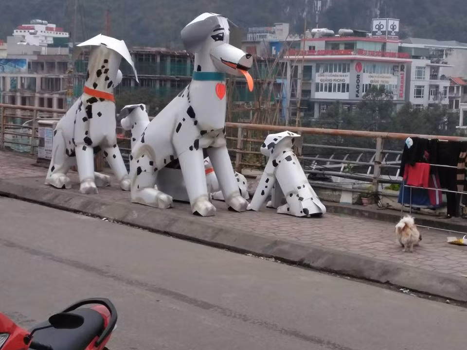 Cùng với những bình luận, dân mạng cũng không quên đóng góp những chú chó linh vật ở địa phương mình và bình luận rằng chúng đúng là phiên bản lỗi so với những gì ngoài đời thực.