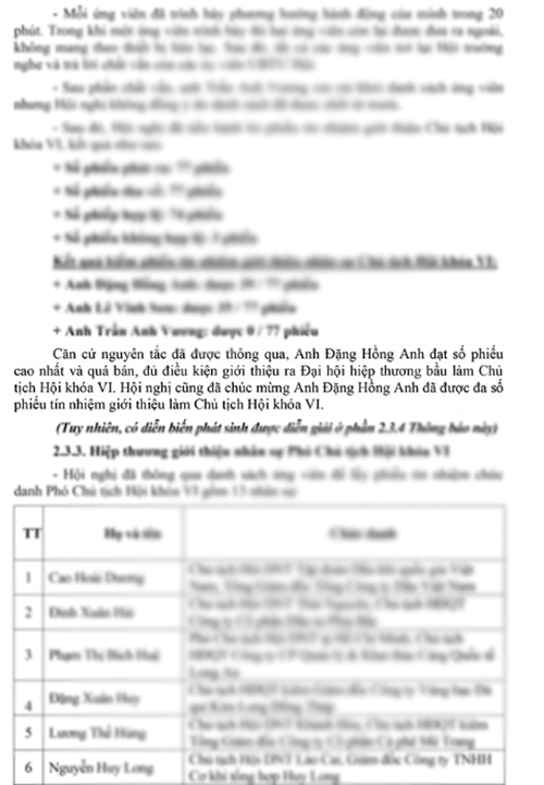 Hoi Doanh nhan tre VN “roi nhu canh he” truoc them dai hoi-Hinh-13