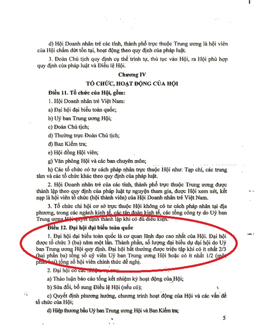 Hoi Doanh nhan tre VN “roi nhu canh he” truoc them dai hoi-Hinh-10