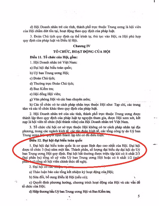 Hoi Doanh nhan tre VN “roi nhu canh he” truoc them dai hoi-Hinh-10