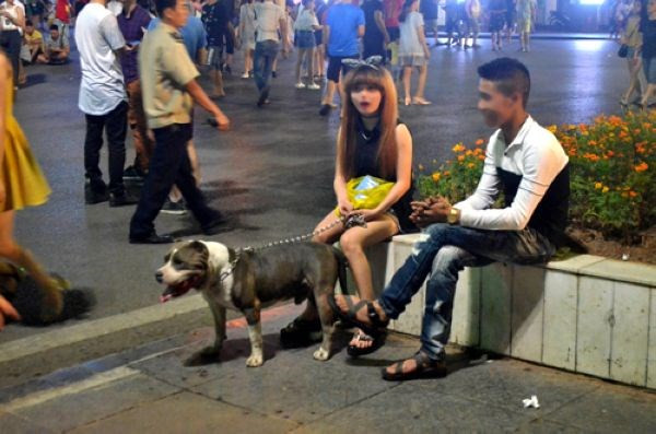 Chia sẻ trên một fanpage, nickname Phương Ngân Trịnh chia sẻ: "Mình hay cho bé ở nhà ra phố đi bộ chơi và đã từng rất nhiều lần phải bế con lên khi thấy những con chó khá to không rọ mõm tiến lại gần. Dù không biết chúng có cắn hay không nhưng cẩn thận vẫn hơn. Nhìn con chó nặng 20 kg - 30 kg tiến lại gần ai chẳng sợ mà lại chẳng có bảo vệ an toàn gì khiến nỗi sợ càng lớn. Vậy nên mình ủng hộ việc cấm này vì những người xung quanh. Chó cũng là loài vật thôi nên chính chủ nhân nhiều lúc còn chẳng kiểm soát được chúng".