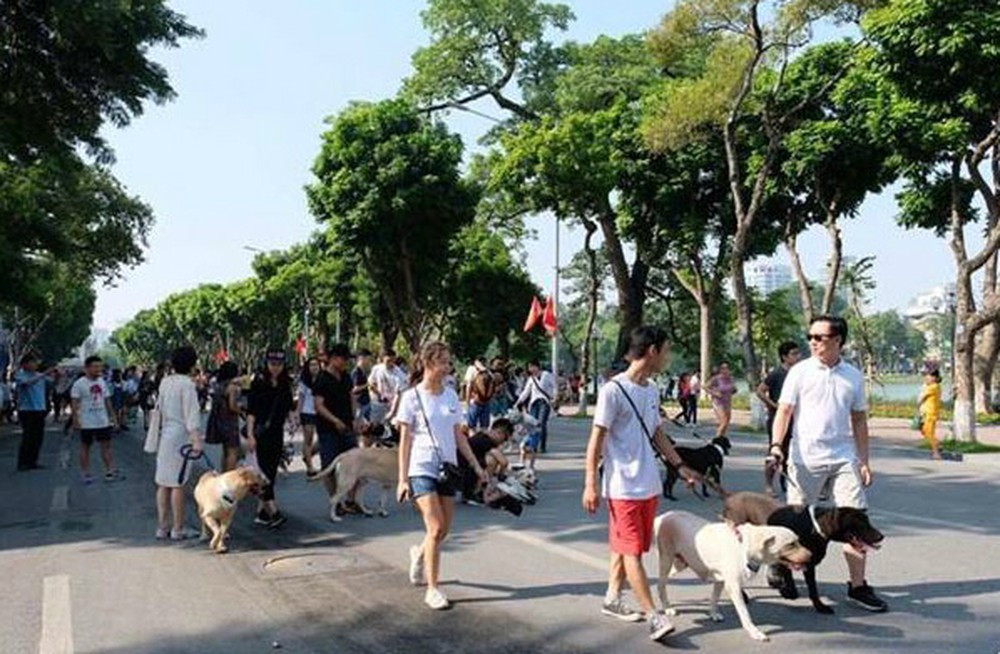 Ngay sau khi thông tin cấm chó không rọ mõm vào phố đi bộ được phát đi, trên MXH rất nhiều ý kiến của dân mạng đã được đưa ra. Đa phần mọi người đều ủng hộ quyết định này và đưa ra rất nhiều lý do để ủng hộ lệnh cấm này.