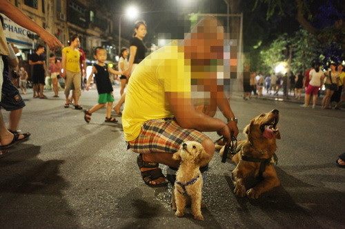 Việc đưa những chú chó đủ mọi chủng loại, đủ kích cỡ vào tuyến phố đi bộ hồ Gươm vào dịp cuối tuần đã trở nên quen thuộc với nhiều người dân Hà Nội. Đây không chỉ đơn giản để cho cả chủ và chó có thể thư giãn, giao lưu với nhiều người mà còn là một hình thức "khoe" chó.