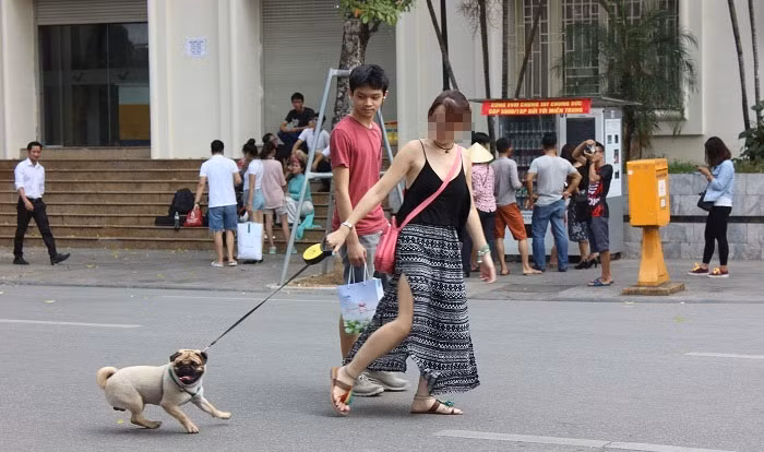 Nickname Tuấn Minh tiếp lời: "Quan điểm của mình là không nên cấm, vì những bé chó xích đàng hoàng rồi mà. Còn các bé ị hay tè thì chủ nên có trách nhiệm dọn để không ảnh hưởng đến người khác là xong". Cuộc tranh luận trên MXH giữa 2 chiều ý kiến vẫn chưa dừng lại nhưng lệnh cấm đã được đưa ra và các đơn vị chức năng thắt chặt trong thời gian tới.