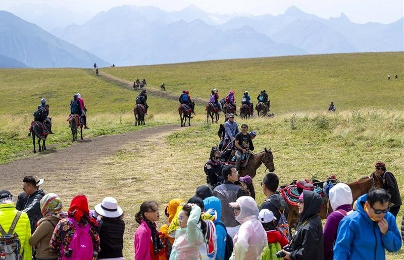 Những chú ngựa sau thời gian phục vụ du khách được nghỉ ngơi, uống nước.