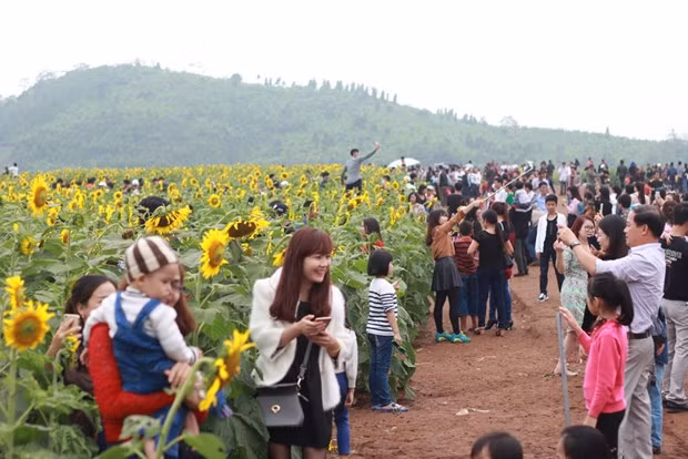 Ảnh: Facebook Hoangha.