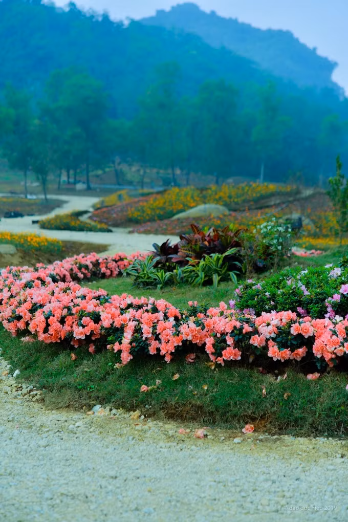 Ở lễ hội hoa Ninh Bình, các nghệ nhân dùng hoa để chuyển tải nhiều chủ đề như Phật giáo, không gian Tết Việt, không gian "Hiện tại và Tương lai".