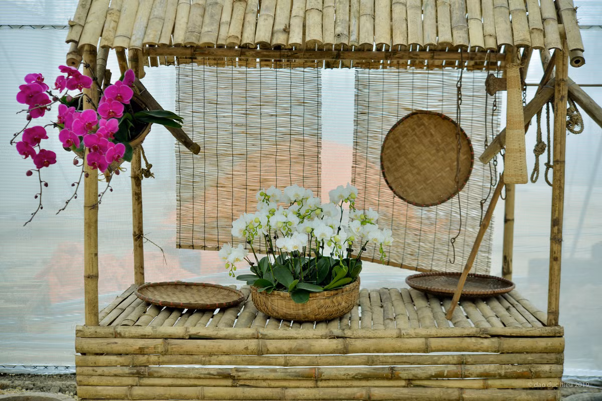 Một địa điểm bày hoa tại lễ hội hoa tại Ninh Bình đã được bài trí sẵn sàng đón khách.