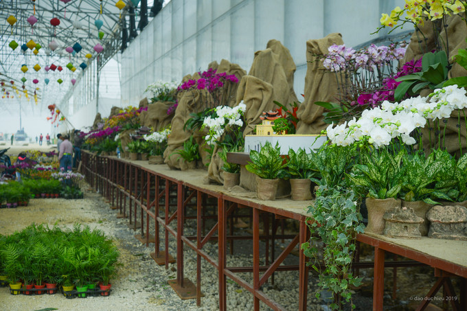 Những khu vườn hoa được căng bạt, bày các loại hoa đẹp đã được các nghệ nhân sắp đặt.