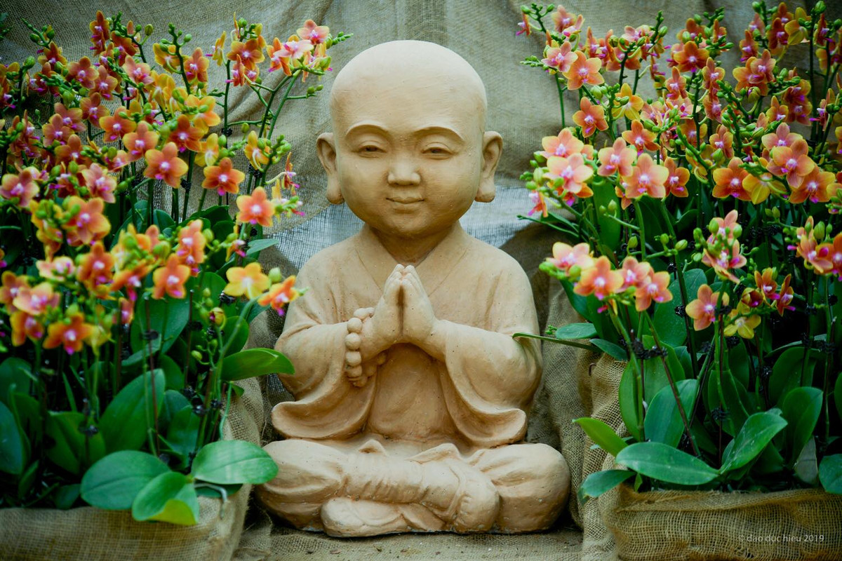 Ngoài tham quan vườn hoa, các hoạt động như ca nhạc nghệ thuật dân tộc, trình diễn áo dài, nghệ thuật trà đạo, nghệ thuật cắm hoa... cũng sẽ diễn ra liên tục mỗi ngày tại sân khấu chính và một số không gian bên trong lễ hội.