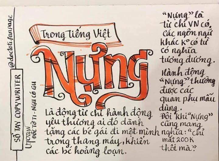 Ngay sau khi sự việc xảy ra, từ "nựng" trong câu trả lời của nguyên Phó viện trưởng VKSND Đà Nẵng sàm sỡ bé gái trong thang máy đã trở thành tâm điểm ảnh chế của CĐM.