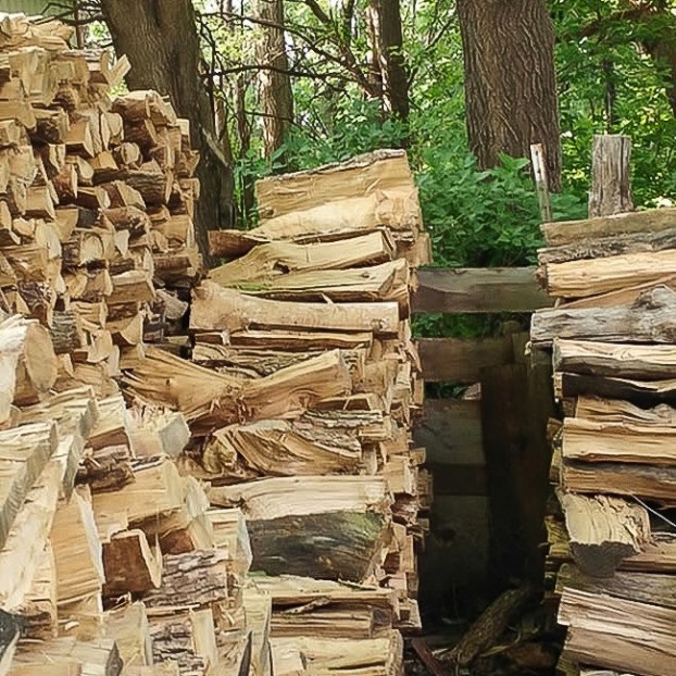 Chú mèo chỉ đang ngủ thôi, nhưng tình cờ nó đã "ẩn thân" một cách hoàn hảo.