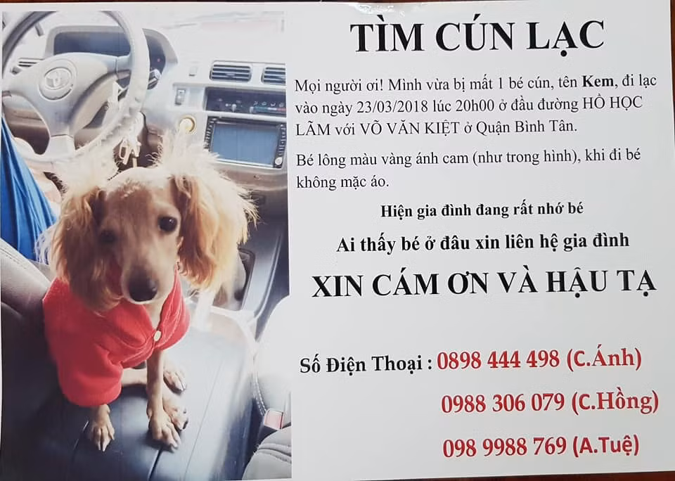Sau khi "ân nhân 4 chân" đi lạc, gia đình chị Hồng đã cho dán rất nhiều tờ rơi. Nhờ sự nổi tiếng trên mạng xã hội cũng như may mắn, Kem đã được một người dân tìm thấy và gọi báo cho gia đình chị Hồng nơi Kem đang ở để tới đón.