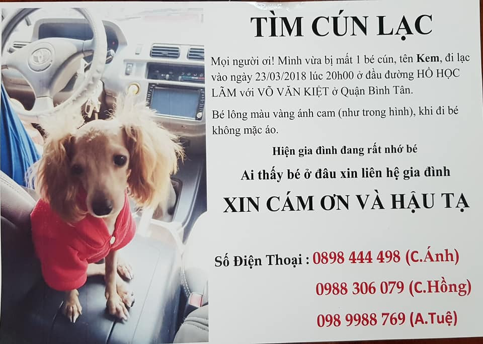 Sau khi "ân nhân 4 chân" đi lạc, gia đình chị Hồng đã cho dán rất nhiều tờ rơi. Nhờ sự nổi tiếng trên mạng xã hội cũng như may mắn, Kem đã được một người dân tìm thấy và gọi báo cho gia đình chị Hồng nơi Kem đang ở để tới đón.