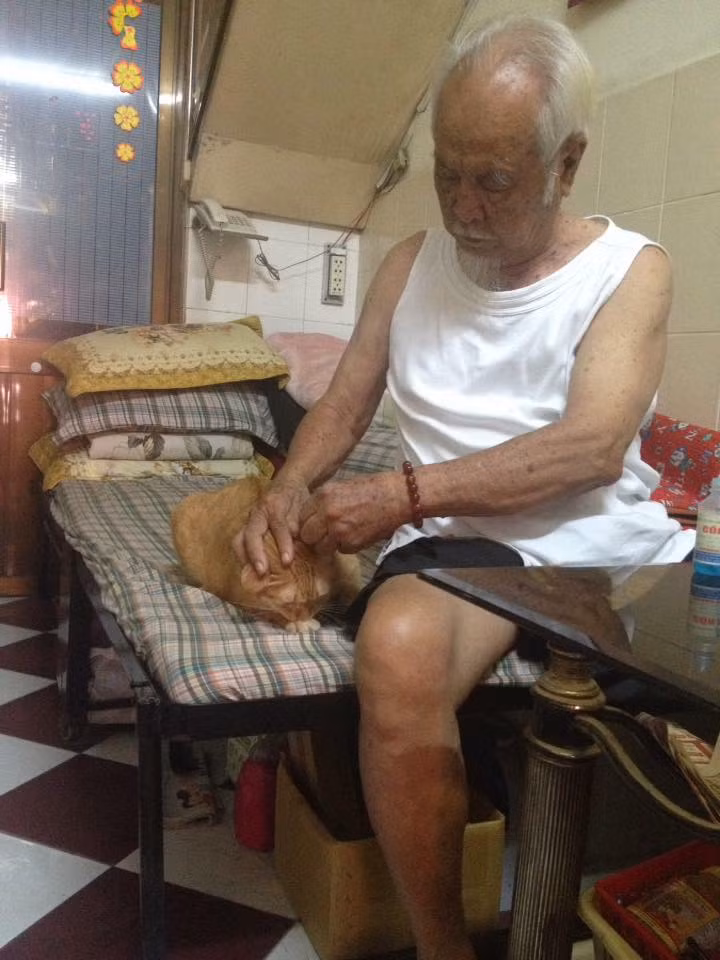 Cụ thể nickname Hoang Pham có viết: "Nhìn ông chăm mèo mà mình lại nhớ tới ông nội ở quê. Ông có "người bạn" tuổi già tên Vàng, ngày ngày ông đưa Vàng đi tập thể dục, đến khi Vàng 13 tuổi thì bỗng dưng mất tích khiến ông buồn mất thời gian dài".