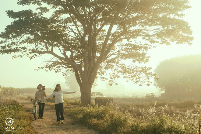 Bộ ảnh cưới Mắt biếc nhanh chóng được CĐM đón nhận với vô vàn lời khen có cánh.