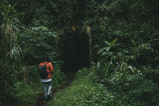 Được biết, đường hầm này thuộc tuyến đường sắt Đà Lạt - Phan Rang. Đây là tuyến đường sắt duy nhất ở Việt Nam sử dụng bánh răng cưa để leo đèo.