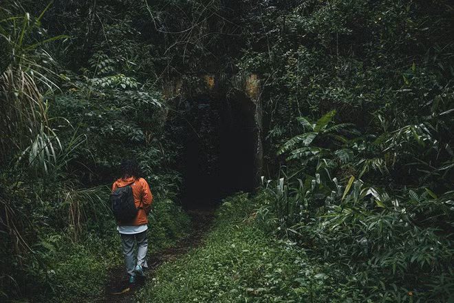 Được biết, đường hầm này thuộc tuyến đường sắt Đà Lạt - Phan Rang. Đây là tuyến đường sắt duy nhất ở Việt Nam sử dụng bánh răng cưa để leo đèo.