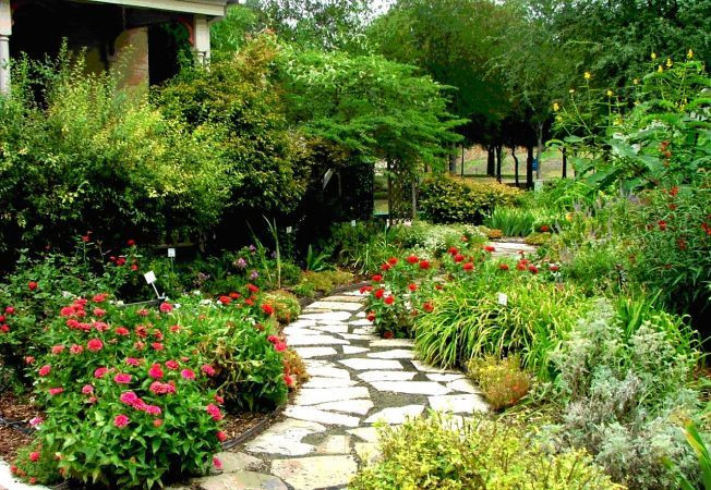 Luong 9 trieu, toi bi bo vo che thieu nhay ben