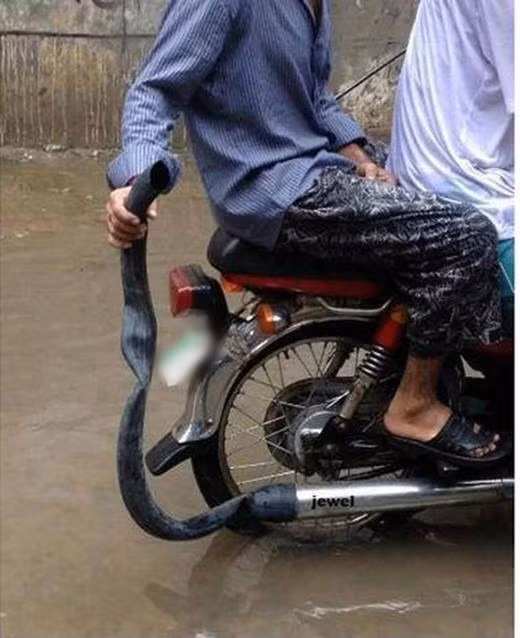 Không muốn bô bị ngập nước thì hãy cho chúng thoát lên phía trên nhé. Ảnh sử dụng trong bài: Sưu tầm Facebook