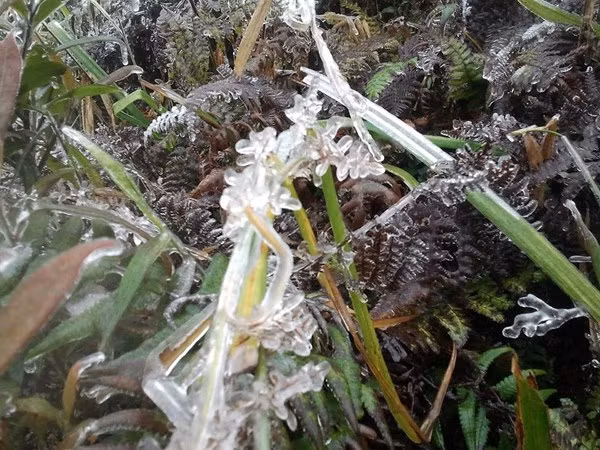 Hiện tượng băng giá tại đỉnh Fansipan được 1 thành viên mạng xã hội ghi lại.