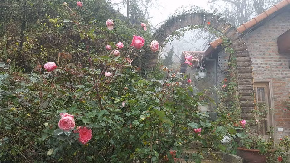 Hiện tượng sương mù đã xảy ra ở thị trấn Sapa và nền nhiệt tại đây được ghi nhận ở mức 3-4 độ C. Theo dự báo thời tiết, nhiệt độ tại đây sẽ còn giảm sâu trong những ngày sắp tới khi khối khí lạnh từ Siberia đổ về.