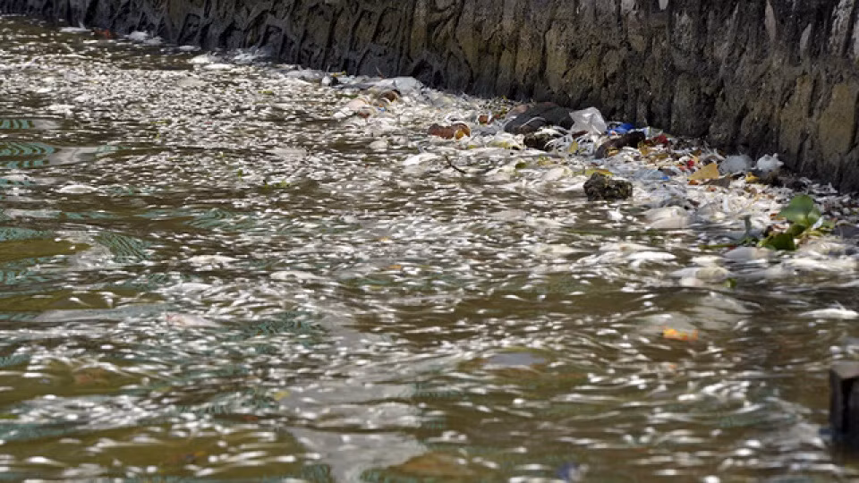 Ngay sau khi được vớt lên, toàn bộ số cá chết trên sẽ được chở đến Trung tâm xử lý rác thải Nam Sơn tiêu huỷ.