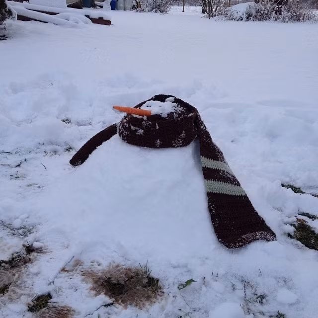 Khi người tuyết lụi bại và trở thành một đống tuyết vô chi.